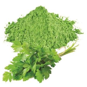 Coriander Leaves Powder