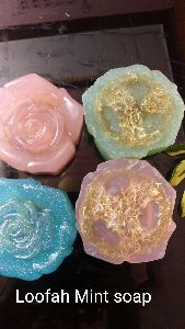 Loofah Mint Soap