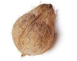 Brown Dried coconut
