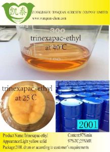 Trinexapac-ethyl Trinexapac-ethyl