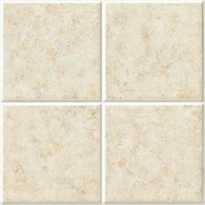 300x300mm Ceramic Floor Tiles