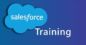 Become An Expert In Salesforce Training Course