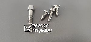 Titanium Fastener