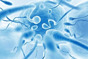 Low Sperm Count Treatment Services