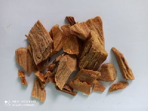 Pine Bark Extract