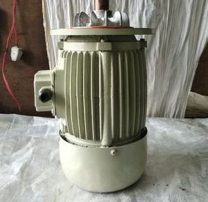 Oven Electric Motor