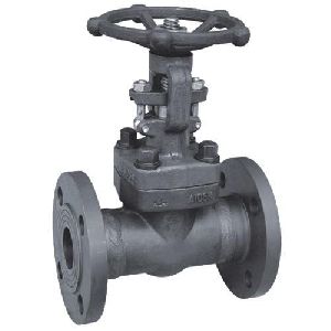 Forged Stainless Steel Globe Valve