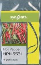 Syngenta Chilli Seeds 5531