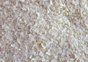 dehydrated white onion granules