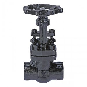 AV-303 F.C.S. (A105) Globe Valve