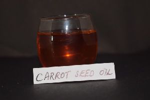 skin care carrot seed essential oil