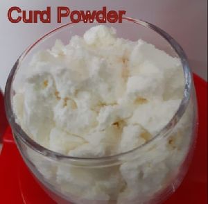 Curd Powder