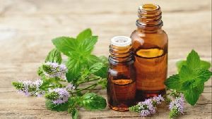 Peppermint Natural essential oil