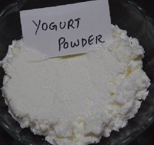 yogurt powder