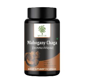 Chaga Mushroom Extract Capsules