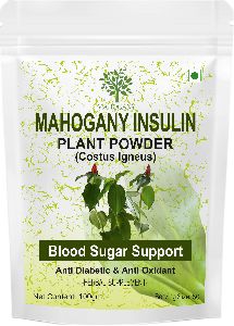 insulin plant powder(Costus Igneus)