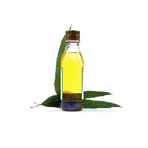 Antibacterial Essential Oils