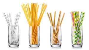 Biodegradable Disposable Drinking Straw of Bioplastic