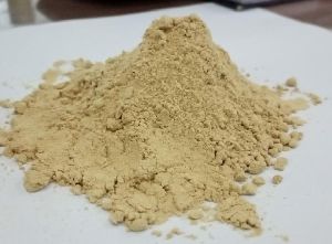 dehydrated garlic powder