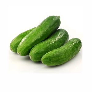 fresh cucumber