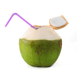 tender coconut