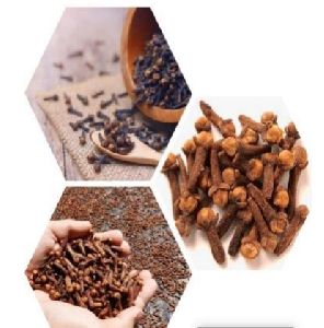 best quality clove dark