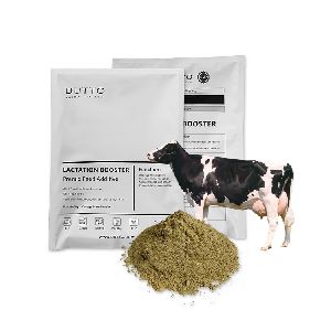 COW FEED DAIRY CATTLE FEED WITH ANIMAL FEED SUPPLEMENT