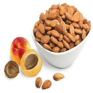 quality naturel apricot kernels