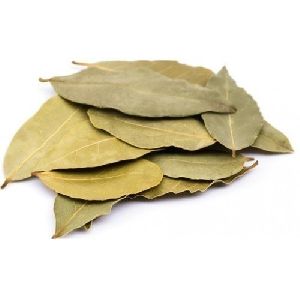 Dried Bay Leaves