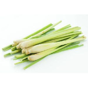 Fresh Lemongrass