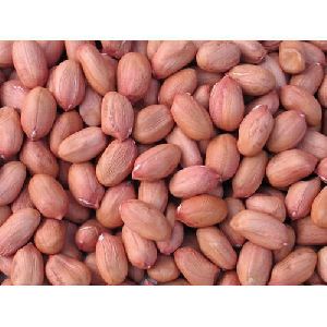 groundnut seeds