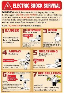 ELECTRIC SHOCK SURVIVAL CHART POSTER