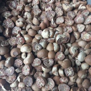 betel nuts,  Packaging Size : 5-25kg