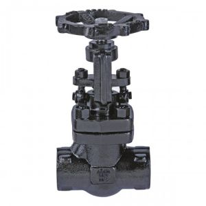 F.S.S. (F304) Globe Valve, Class-800