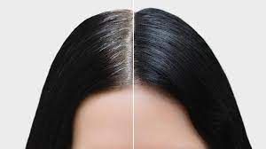 Hair Serum in Maharashtra - Manufacturers and Suppliers India