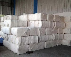 Shanker-6 Regular Raw Cotton Bales