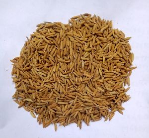 paddy seed(4094- bengal special)