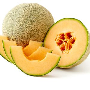 Best Cantaloupe seed - Organic Fruits seed