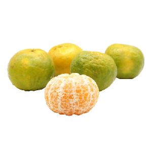 Buy mandarin fresh oranges best fruit