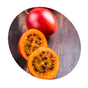 Delicious Red Smooth Skin Sweet Tamarillo Fresh Fruit Tree Tomato Exotic Fruits in Wholesale
