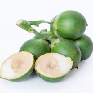 High Quality Fresh Areca nut/Betel Nuts
