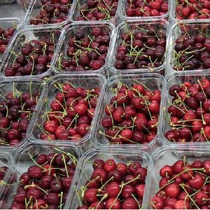 TOP QUALITY SWEET RED CHERRY FRUIT