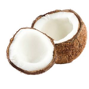 semi matured coconut