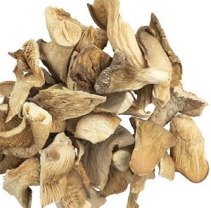 dried oyster mushroom