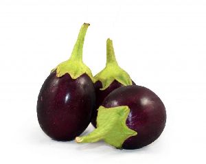 Organic Brinjal