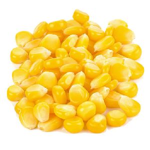 frozen sweet corn