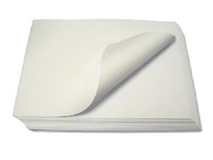 Blotting Paper Sheets