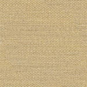 CAN-GC-010 Canvas Fabric