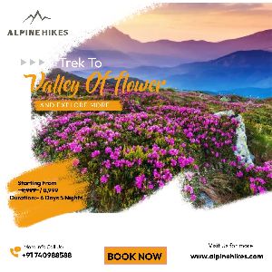 Valley Of Flowers Trek // Alpinehikes