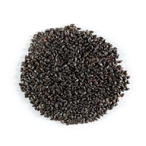 basil seeds